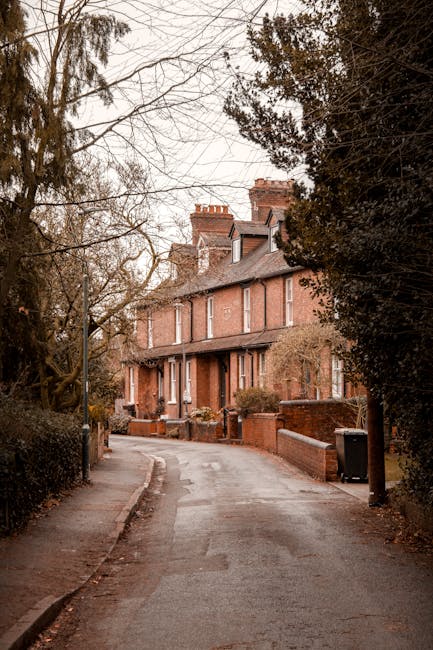 A quiet residential street in Barnsbury with a narrow, slightly curved tarmac road leading past traditional red-brick terraced houses. The houses feature bay windows, pitched roofs with chimneys, and small front gardens bordered by low brick walls. Leafless trees and dense bushes line the pavement, suggesting late autumn or winter. On the right side, a black wheelie bin is positioned beside a house, while on the left, a lamppost stands among the foliage. The scene is illuminated by soft, natural daylight, with overcast skies overhead. This setting is representative of a typical UK home environment where house removals and furniture transport might take place, supporting local moving services like those offered by Man With a Van Barnsbury, who specialise in packing, loading, and home relocation in the N1 Barnsbury area.